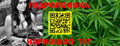 гашиш Канаш