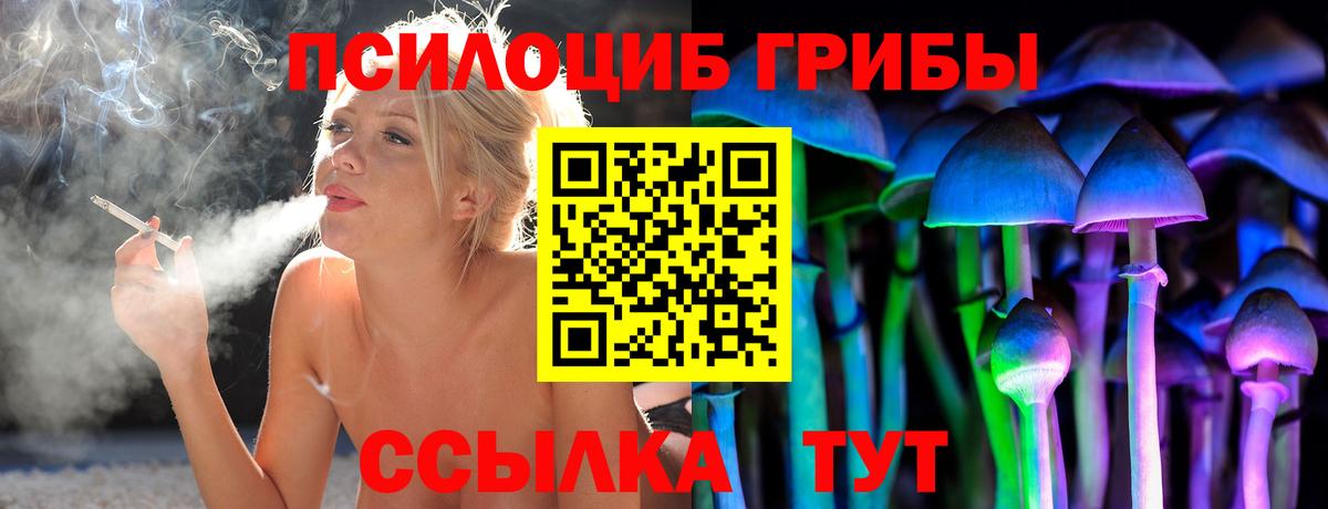Шахты  Галлюциногенные грибы Psilocybe  Галлюциногенные грибы Psilocybine cubensis  Вход с VPN 