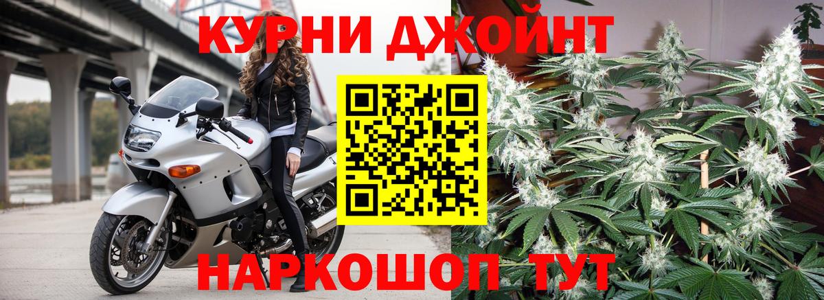 Бошки Шишки гибрид Шахты